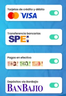 Modalidades de pago autorizadas para refrendos seguros en Rendilana